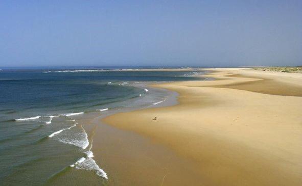 Villa Reve D'Ocean Climatisee غوجان-ميستراس المظهر الخارجي الصورة